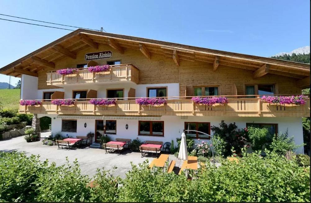Pension Aloisia Scheffau am Wilden Kaiser Buitenkant foto