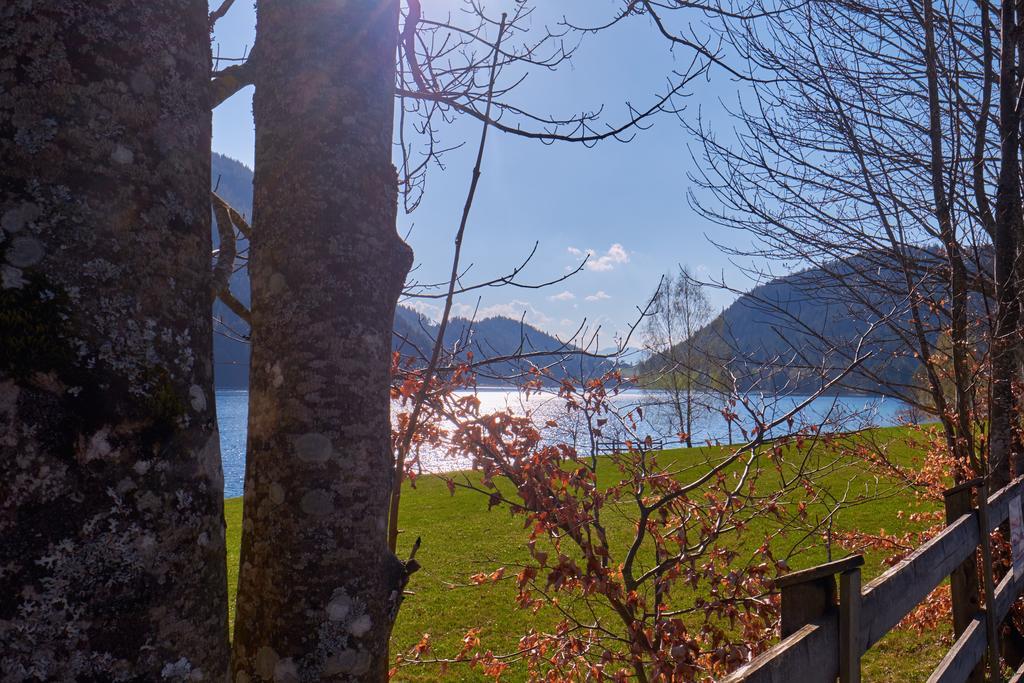 Pension Aloisia Scheffau am Wilden Kaiser Buitenkant foto