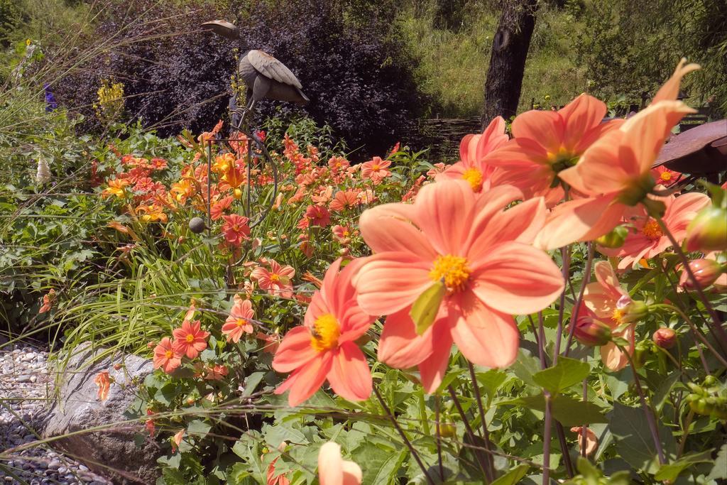 Pension Aloisia Scheffau am Wilden Kaiser Buitenkant foto