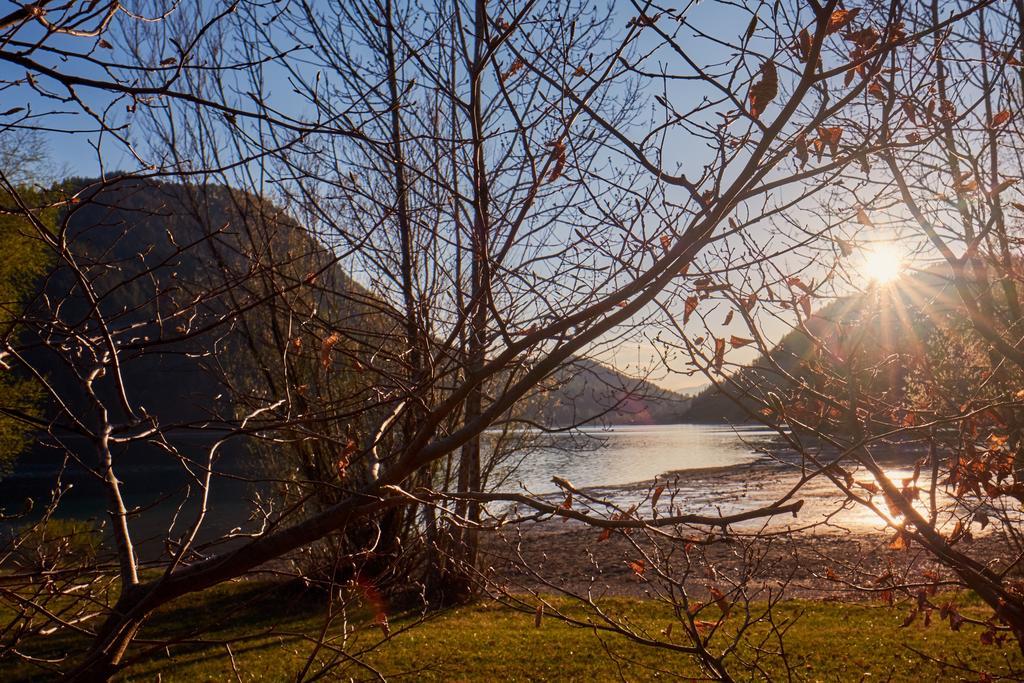 Pension Aloisia Scheffau am Wilden Kaiser Buitenkant foto