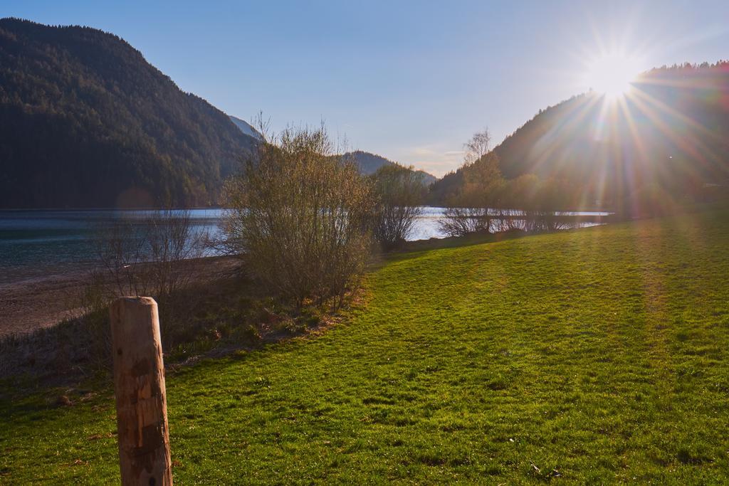 Pension Aloisia Scheffau am Wilden Kaiser Buitenkant foto